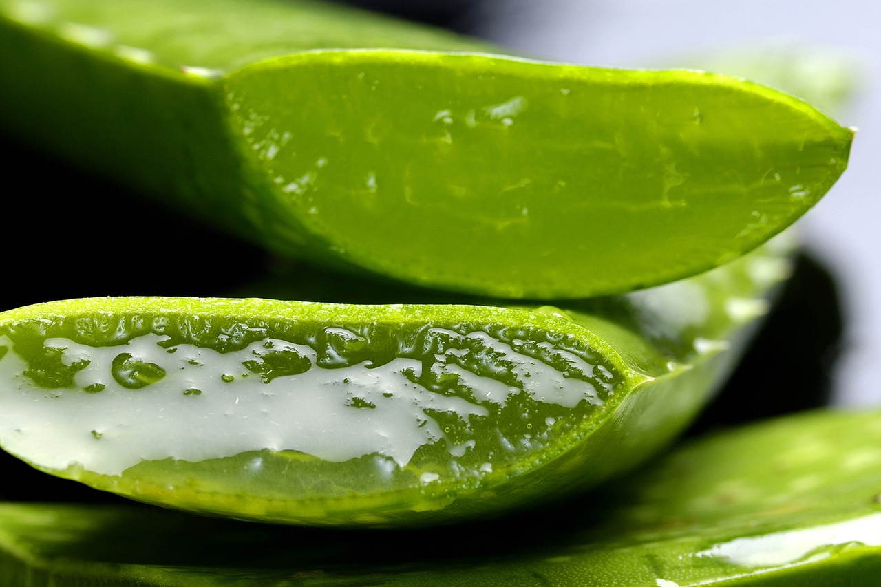 Výhody pitia aloe vera gélu